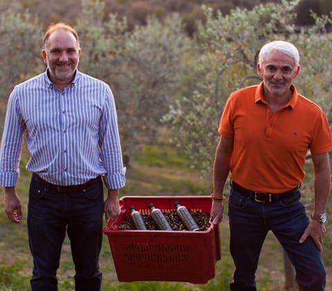 Guida all’acquisto di Olio EVO